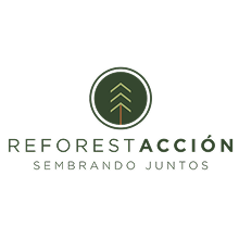 REFORESTACCION