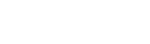 logo_flex