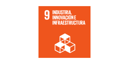 Industry, innovation and infraestructure