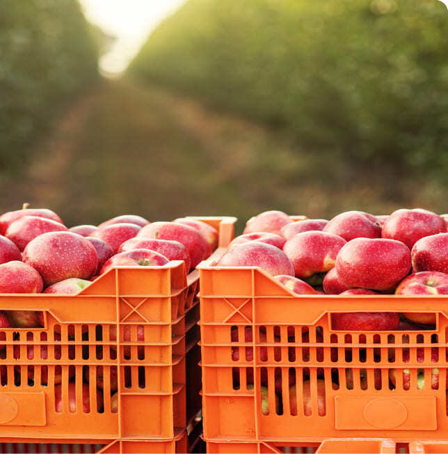 servicio de transporte de alimentos y bebidas