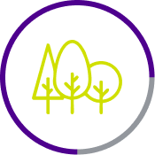 bosques-reforestados-icon