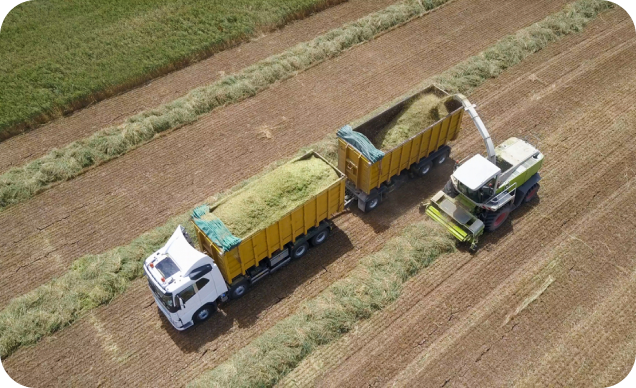 Actividad agroindustrial donde se recogen cultivos con tractor y camiones