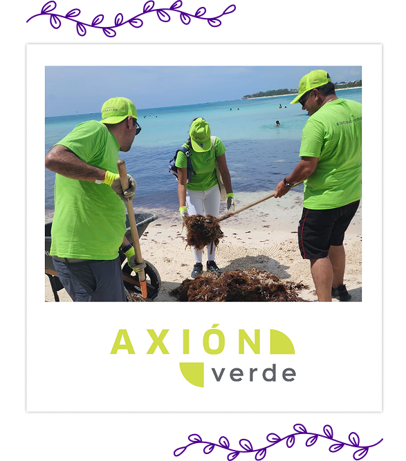 img-axion-verde-1